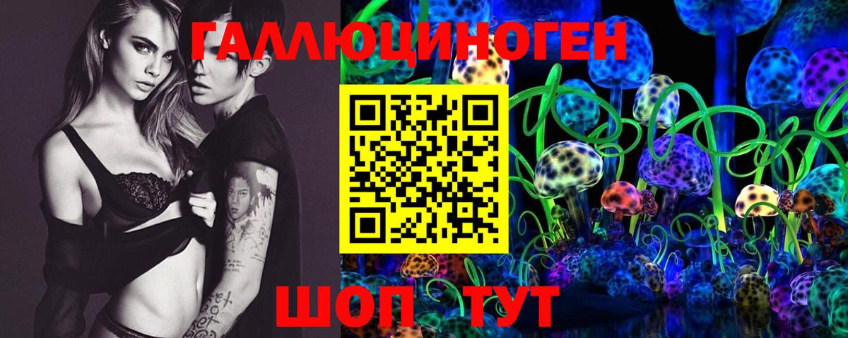 Сызрань  Галлюциногенные грибы Cubensis  Вход с VPN 